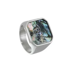 Bague homme Jourdan JH120002R - MALIBU - Acier Argent taille 62