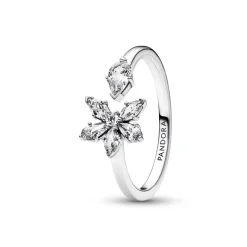 Bague Pandora Timeless - Ouverte Herbier Scintillant