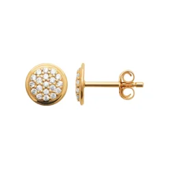 Boucle-d'oreille-Y5W0WZ-- Plaqué Or