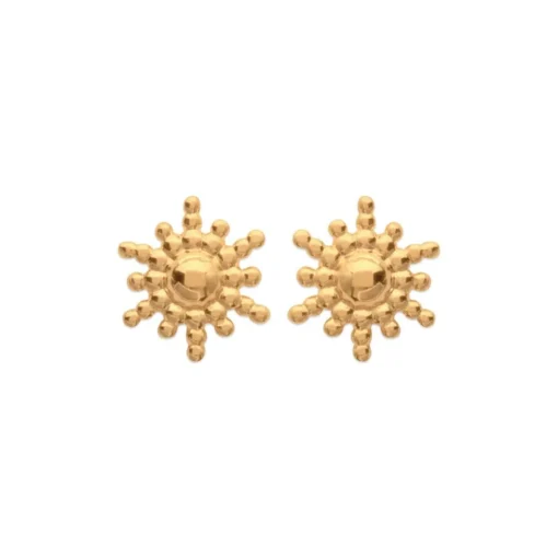 Boucles d'oreille femme plaqué or - Y556300