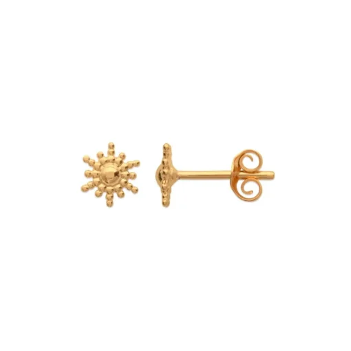 Boucles d'oreille femme plaqué or - Y556300