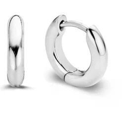 Boucles d'oreille Silver Ti Sento 7210SI