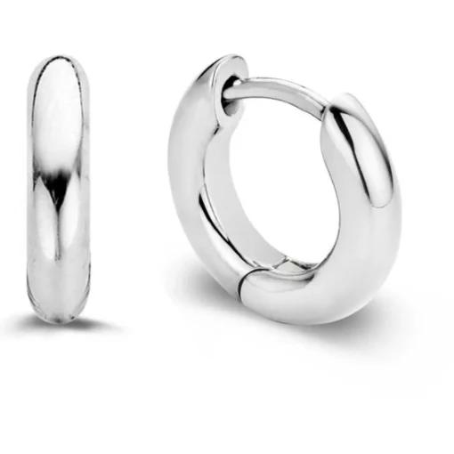 Boucles d'oreille Silver Ti Sento 7210SI