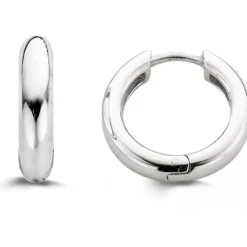Boucles d'oreille Silver Ti Sento 7210SI