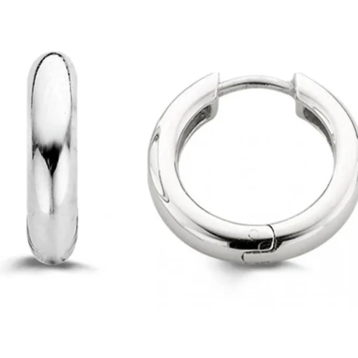 Boucles d'oreille Silver Ti Sento 7210SI
