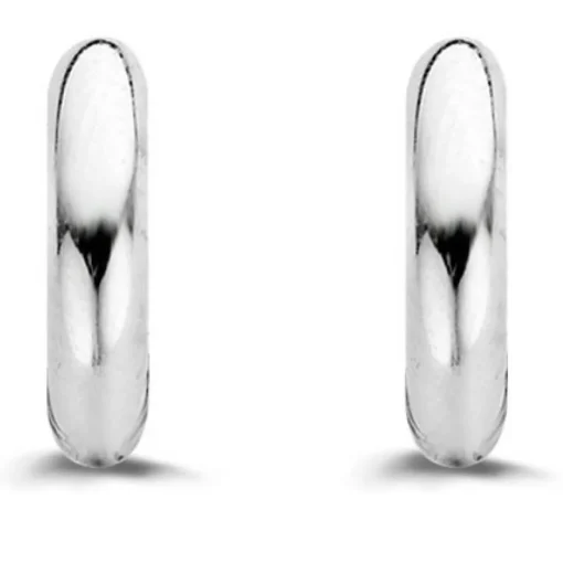 Boucles d'oreille Silver Ti Sento 7210SI