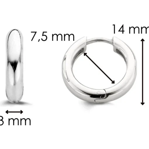 Boucles d'oreille Silver Ti Sento 7210SI