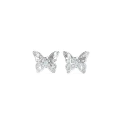 Boucles D'Oreilles Chrysalis Acier Rhodié Puces Papillon Pavé De Zircons Cubiques