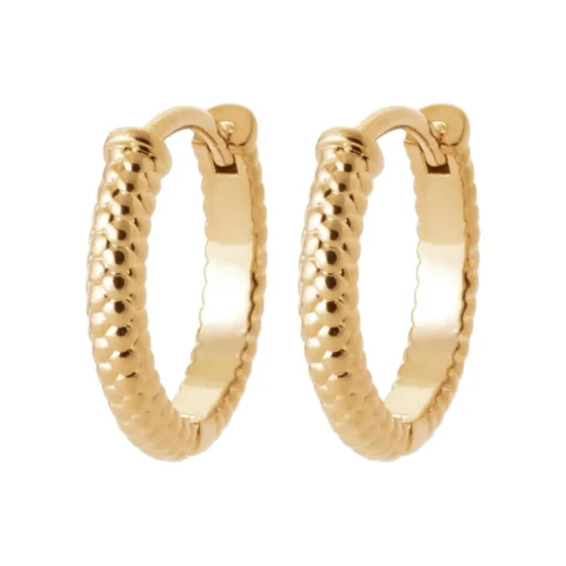 Boucles d'oreilles créoles plaqué or fantaisie 14mm Maison de la Bijouterie Y653500