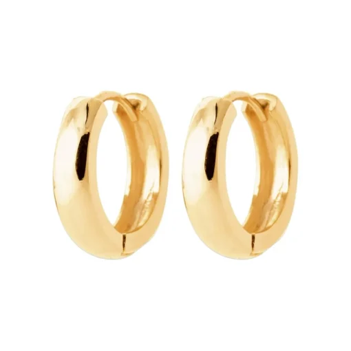 Boucles d'oreilles créoles plaqué or fantaisie 16mm Maison de la Bijouterie Y6560Z6