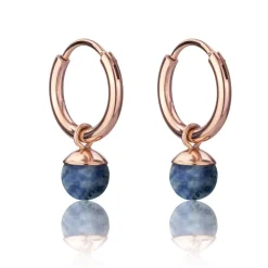 Boucles d’oreilles Femme Emily Westwood WE1204R - Acier Doré rose Bleu