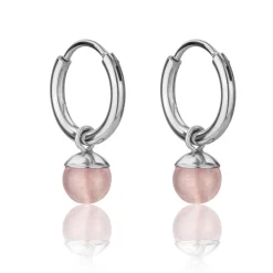 Boucles d’oreilles Femme Emily Westwood WE1202S - Acier Argent Rose