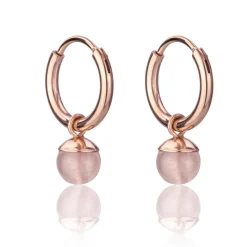 Boucles d’oreilles Femme Emily Westwood WE1202R - Acier Doré rose