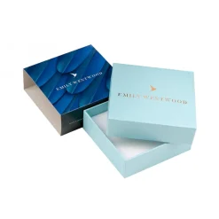 Boucles d’oreilles Femme Emily Westwood WE1026S - Acier Argenté