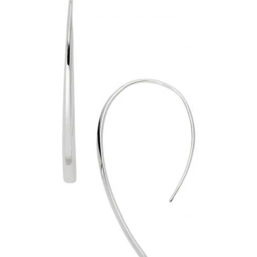 Boucles d'oreilles Fossil JF01702040 - Boucles d'oreilles Crochet Argentée