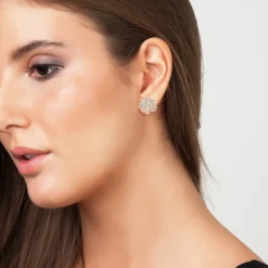 Boucles d'oreilles So Charm B2037-BO - Boucles d'oreilles Femme