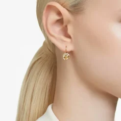 Boucles d'oreilles Swarovski 5662093 - BELLA