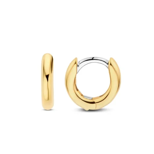 Boucles D'Oreilles Ti Sento - 7811YS Argent Doré Anneaux