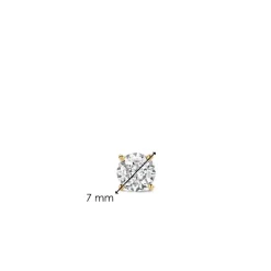 Boucles D'Oreilles Ti Sento - 7319ZY Argent Doré Oxydes De Zirconium