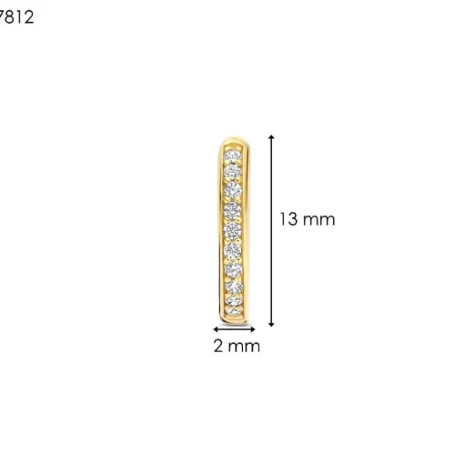 Boucles D'Oreilles Ti Sento - 7812ZY Argent Doré Anneaux Et Pavage