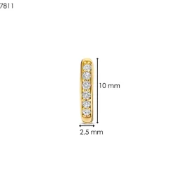 Boucles D'Oreilles Ti Sento - 7811ZY Argent Doré Anneaux Et Pavage