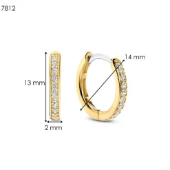 Boucles D'Oreilles Ti Sento - 7812ZY Argent Doré Anneaux Et Pavage