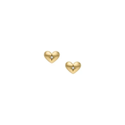 Boucles oreilles Fossil Bijoux Love Sadie - JF04832710 Acier inoxydable