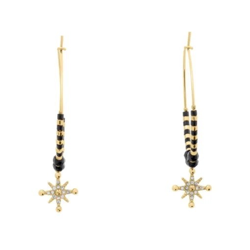 Boucles oreilles Pierre Lannier Bijoux Antharea - BJ25A2231 Acier Doré