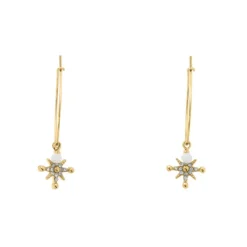 Boucles oreilles Pierre Lannier Bijoux Australe - BJ22A2211 Acier Doré
