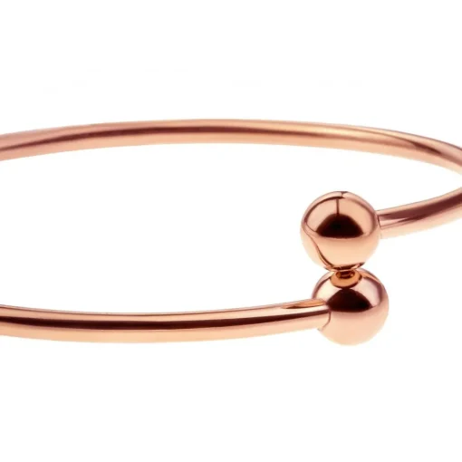 Bracelet Femme Emily Westwood WB1032R - Acier Doré rose