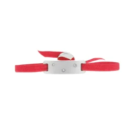 Bracelet Les Interchangeables A59134 - Plaque Ruban Brossée Strasse Framboise Femme