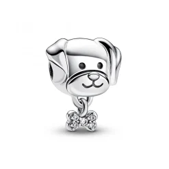 Charm Chien et Os