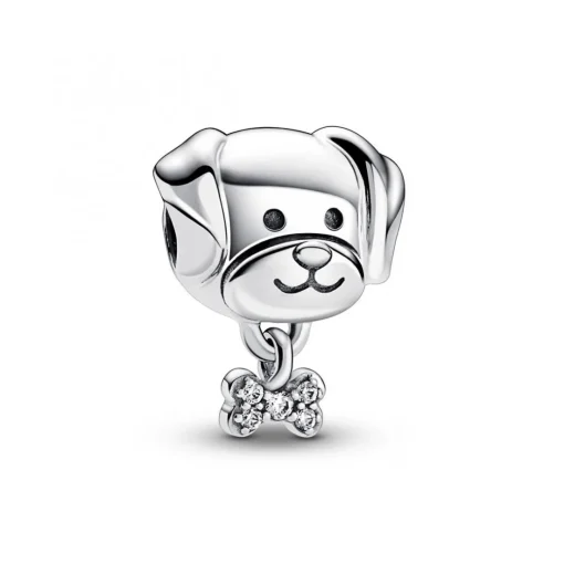 Charm Chien et Os