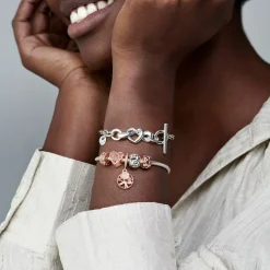 Charm Clip Pandora Moments Couronne de Cœurs