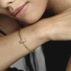 Charm Clip Pavé Transparent Pandora Moments