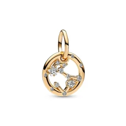 Charm Pendant Signe du Poissons