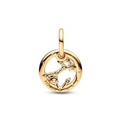 Charm Pendant Signe du Poissons