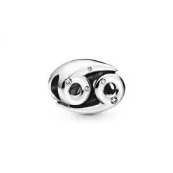 Charm Zodiaque Cancer Signe Astrologique