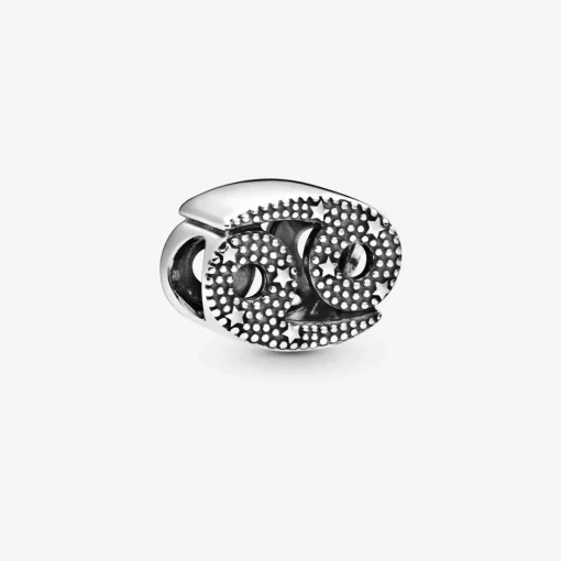 Charm Zodiaque Cancer Signe Astrologique