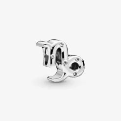 Charm Zodiaque Capricorne Signe Astrologique