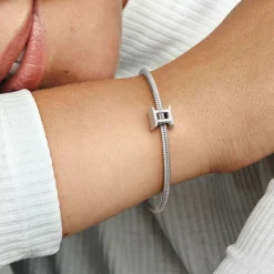 Charm Zodiaque Gemeaux Signe Astrologique