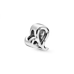 Charm Zodiaque Lion Signe Astrologique