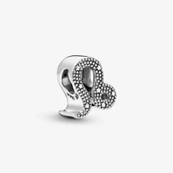 Charm Zodiaque Lion Signe Astrologique
