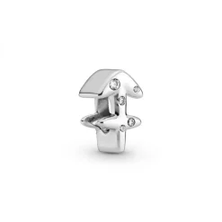 Charm Zodiaque Sagittaire Signe Astrologique