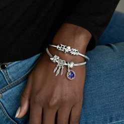 Charm Zodiaque Sagittaire Signe Astrologique