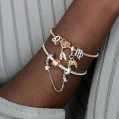 Charm Zodiaque Scorpion Signe Astrologique