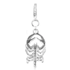 Charms Et Perles So Charm - CH0356-ARGENT - Charm Zodiaque Scorpion