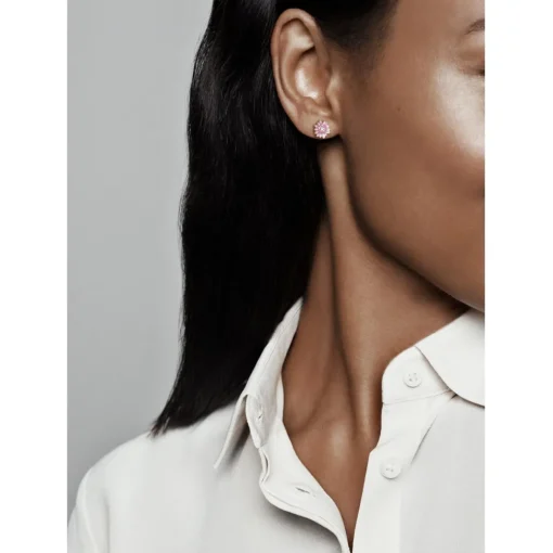Clous d Oreilles Marguerites Roses