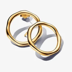 Clous d’Oreilles Cercle Organique