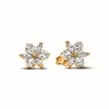 Clous d’Oreilles Herbier Scintillant